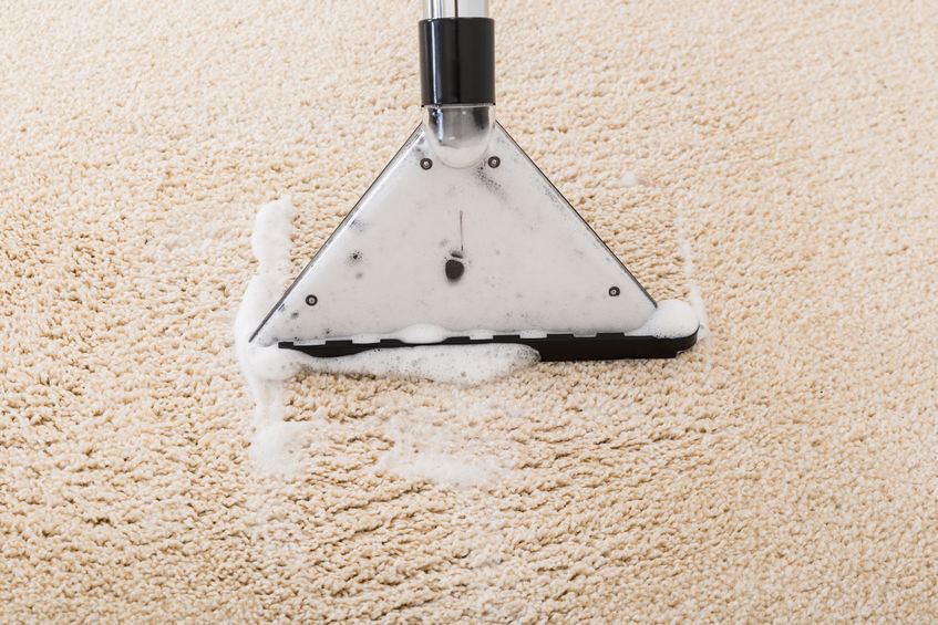 Carpet Cleaning Services, Disinfecting Services, Kitchen Cleaning Services, Disinfecting Services, House Cleaning services, Commercial Cleaning Services